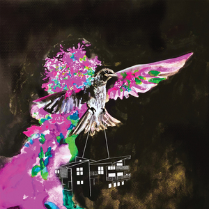 We Carry Our Homes Within Us Which Enables Us to Fly