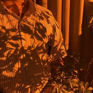 玫瑰（翻自 亚森）