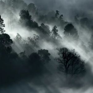 “琴” - 中国风 Type beat