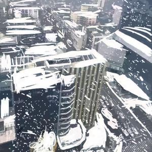 广东根本不会下雪