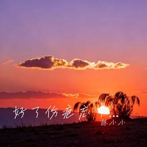 好了伤疤忘了疼 (Cover 王佳音)