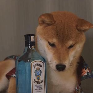 不见面(Prod. by Ryukijayze)