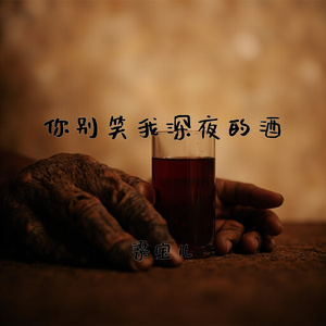 你别笑我深夜的酒
