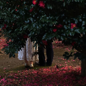 Какие дела?