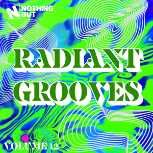 Addicted (Instrumental Mix)