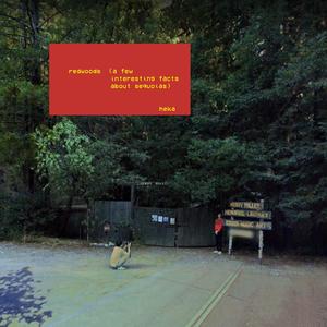 redwoods (a few interesting facts about sequoias)