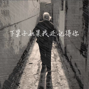 下辈子如果我还记得你