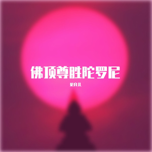 佛顶尊胜陀罗尼