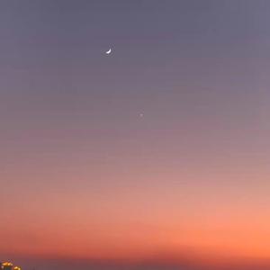 裂缝中的阳光(cover)