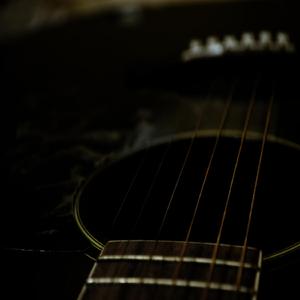 Bass Acoustic