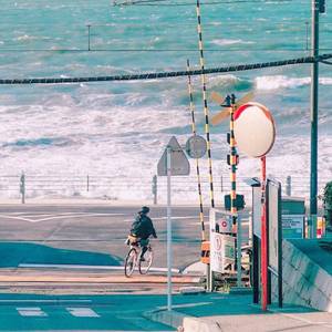 檸檬（治愈念白《turtle》）