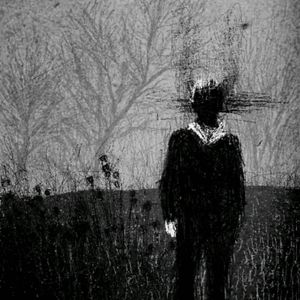 What Course To Follow