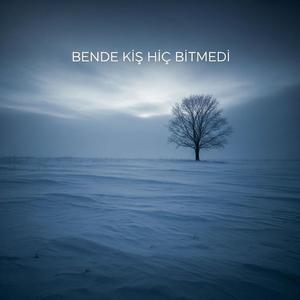 Bende Kış Hiç Bitmedi