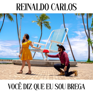 Você Diz Que Eu Sou Brega