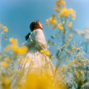 I Remember Your Shadow