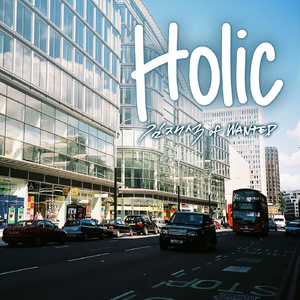 Holic (inst.)