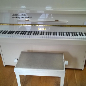 Anything but the Fool