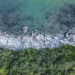 Deep Sleep Inside the Nest