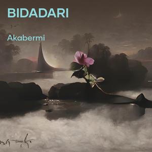 Bidadari