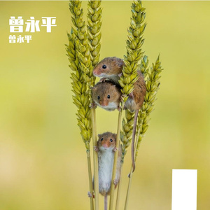 3月21日