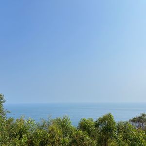 如果重来（Prod by Remember）