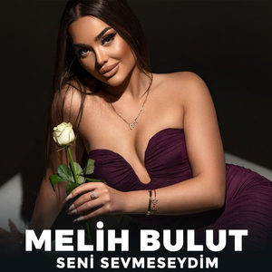 Seni Sevmeseydim
