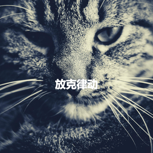 Spacious Ambiance for Uplifting Journeys