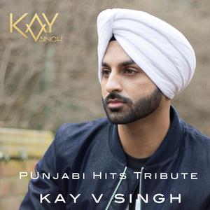 Punjabi Hits Tribute