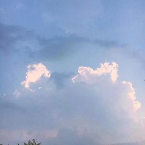 我顶着大太阳只想为你撑伞（翻自 周）