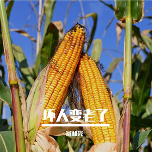 坏人变老了