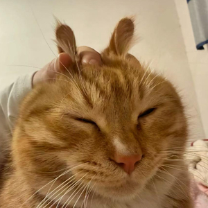 最痛的是差一点就拥有你