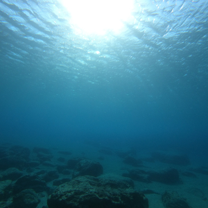 Je vois bien que tu changes