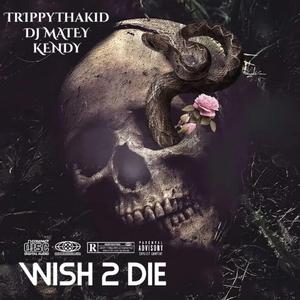 WISH 2 DIE (feat. TrippyThaKid)