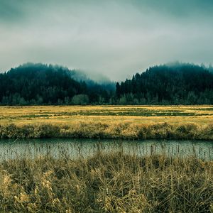 钢琴白噪音里的入眠之境_1