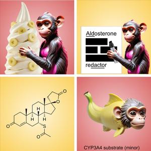 Spironolactone (Disco Version)