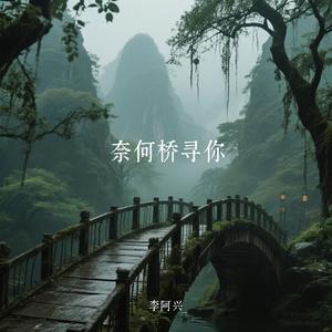 奈何桥寻你