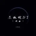 长城炮DJ (硬曲)