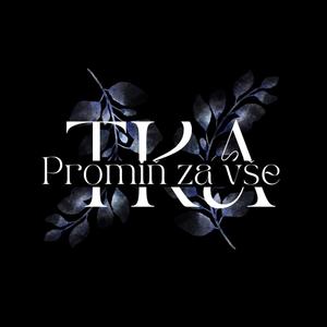 Promiň za vše (feat. dharkr)