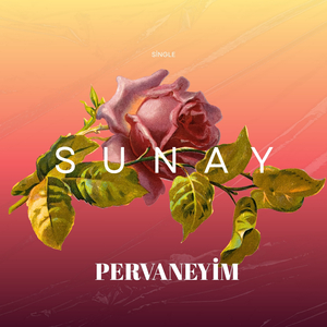 PERVANEYİM