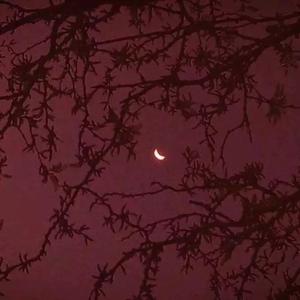 ''妳 搅 散 壹 池 星 光 ，成 為 我 的 月 亮''