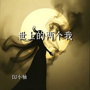 世上的两个我（来人间看场戏）