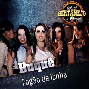 Fogão de Lenha: Festival Sertanejo (Ao Vivo)