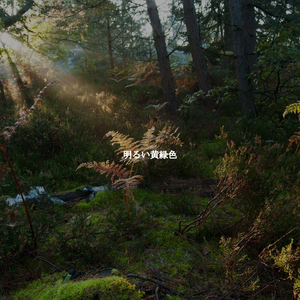 Warm Ambiance for Deluxe Staycationing