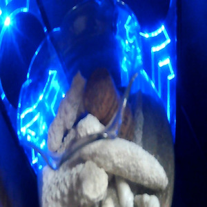 おっぱい揉みしだかれ過ぎて