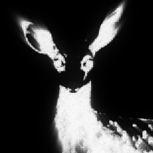 hey deer, meet headlights!