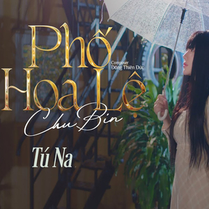 Phố Hoa Lệ (AM ft Thereo Remix)