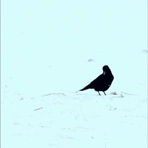 Snow</3