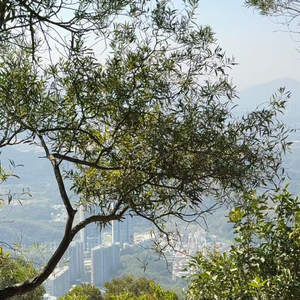 雨中的回忆与你