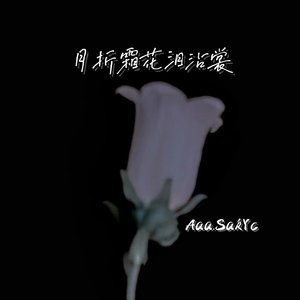 月折霜花泪沾裳