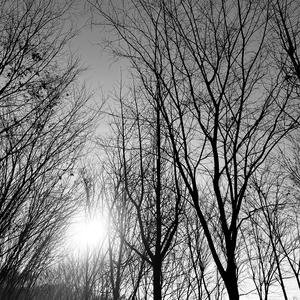 DiESi-祖安大互动串烧